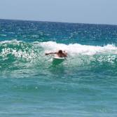 En vanlig v&aring;g i Manly